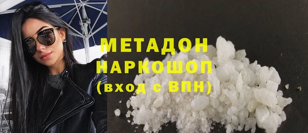 хмурый Аркадак