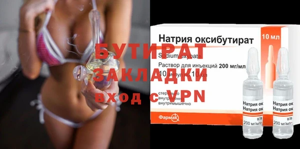 хмурый Аркадак