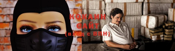 хмурый Аркадак