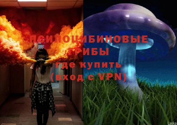 круглые Арсеньев