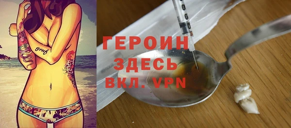 хмурый Аркадак