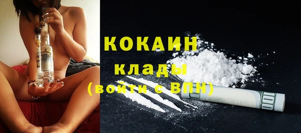 хмурый Аркадак